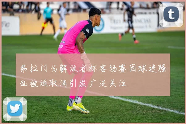弗拉门戈解放者杯客场赛因球迷骚乱被迫取消引发广泛关注