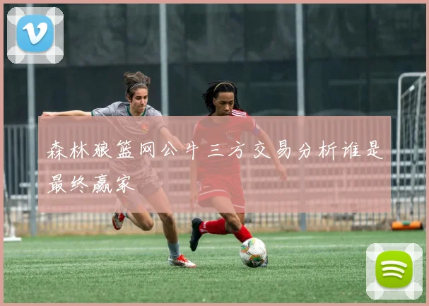 森林狼篮网公牛三方交易分析谁是最终赢家