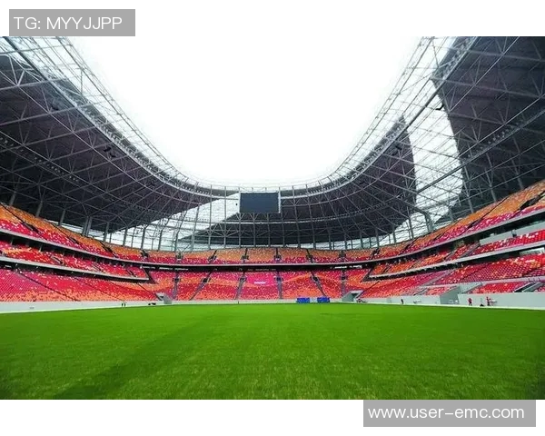 重庆铜梁龙明年主场将落户龙兴足球场正式确定